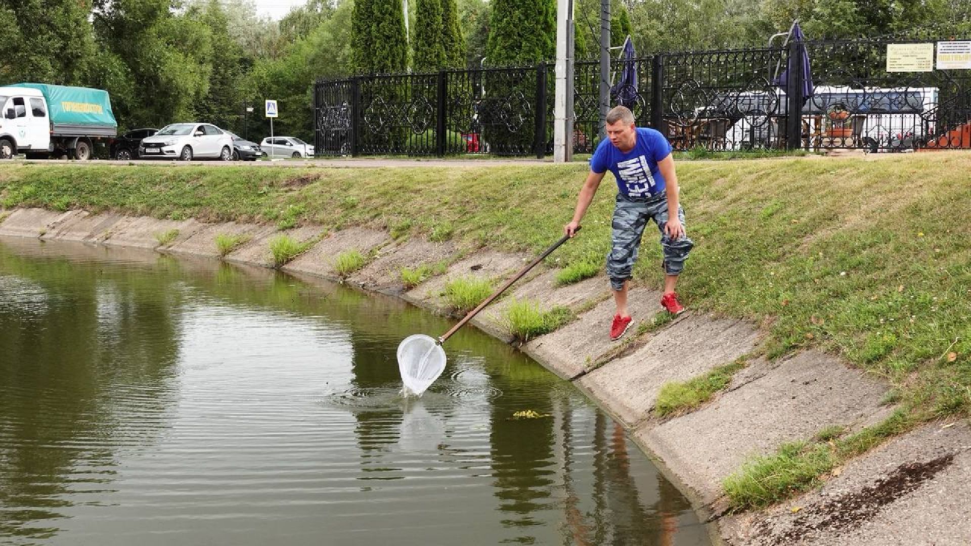 Экология, Сергиев Посад, Очистка прудов,
