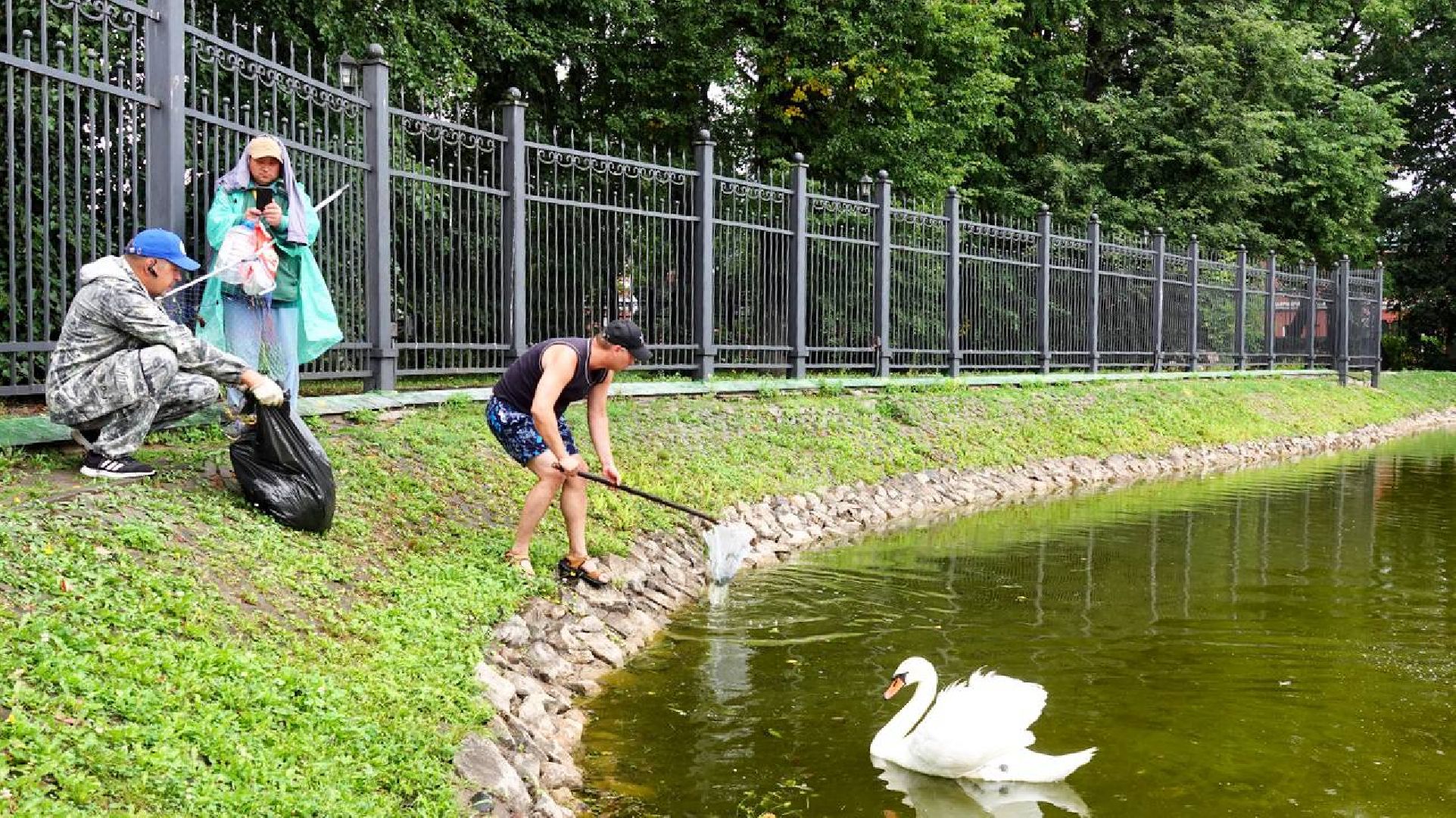 Экология, Сергиев Посад, Очистка прудов,