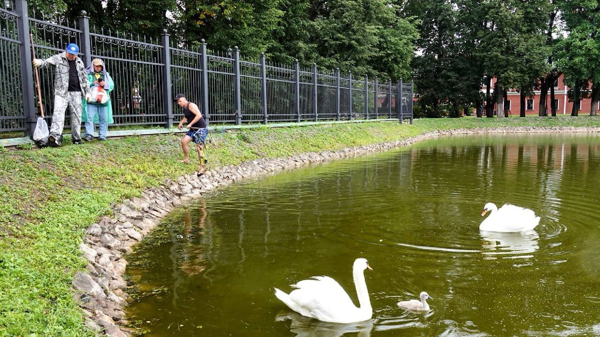 Экология, Сергиев Посад, Очистка прудов,
