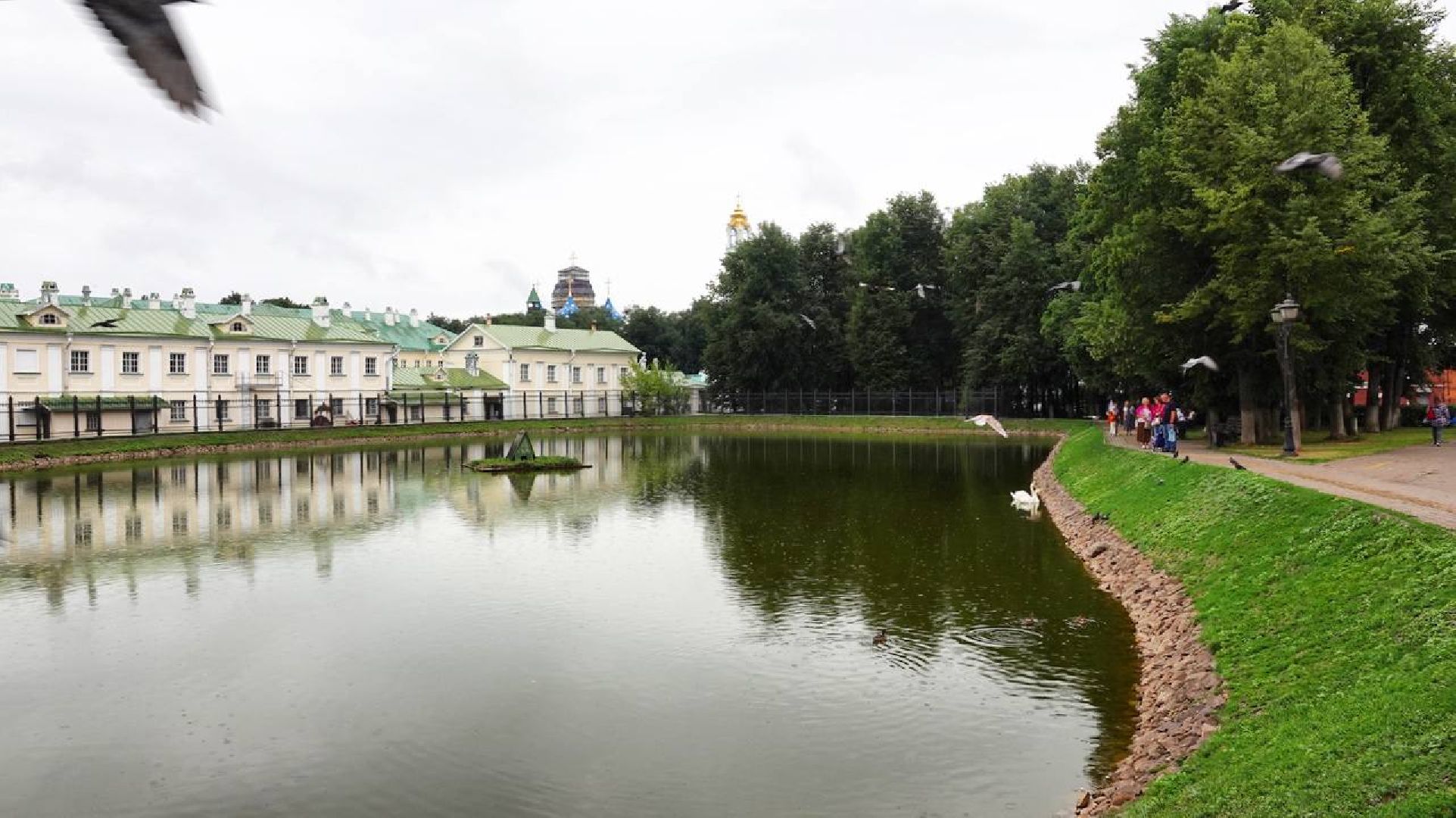 Экология, Сергиев Посад, Очистка прудов,