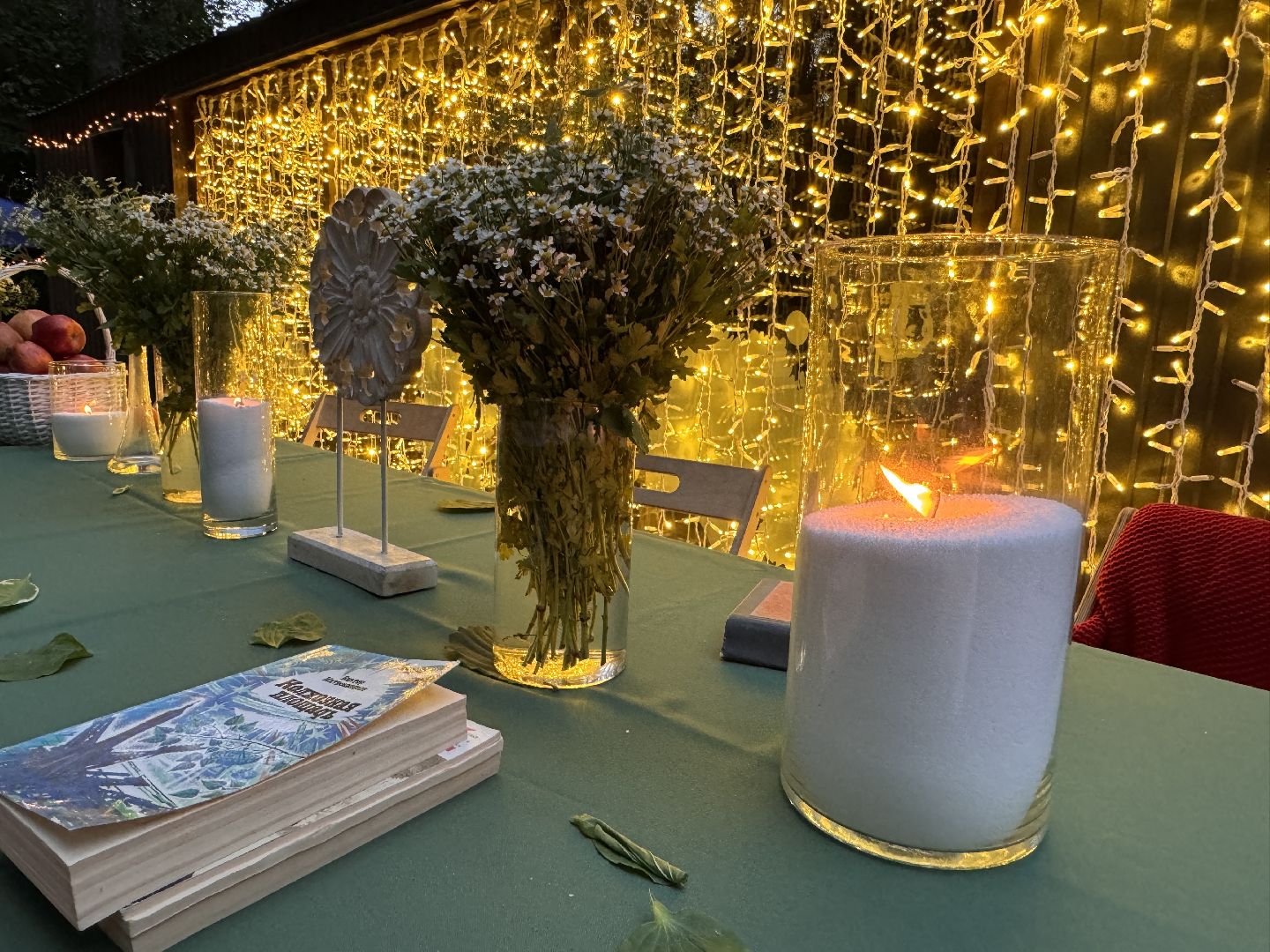 Ночь в парке, Одинцовский парк культуры спорта и отдыха, культура подмосковья, парки подмосковья,