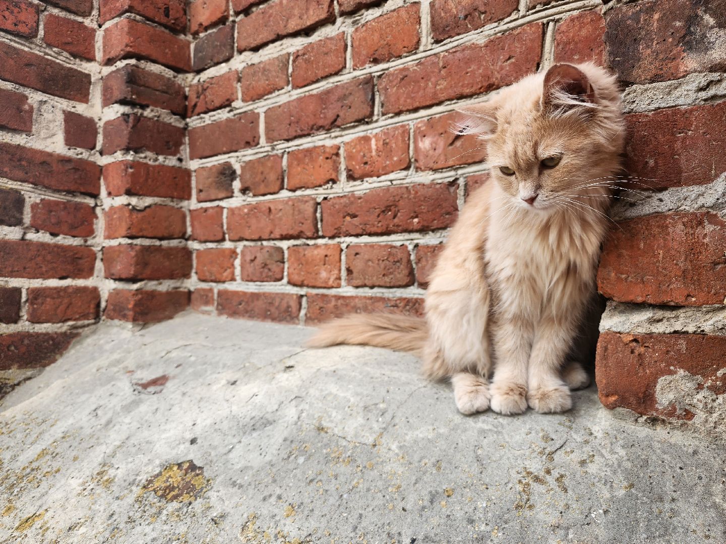 Зарайск, культура, литературный фестиваль, достоевский,