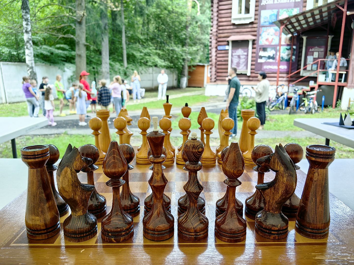 шахматы, турнир, мастер класс, оригами, игра, щёлково,