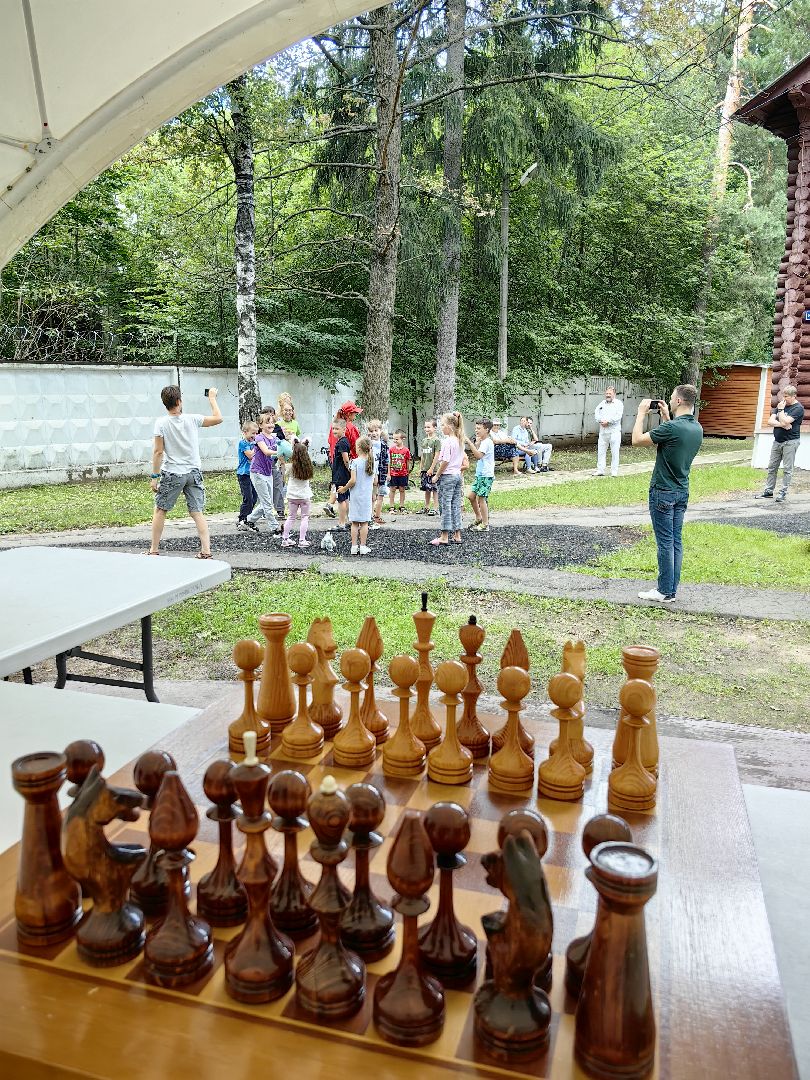 шахматы, турнир, мастер класс, оригами, игра, щёлково,