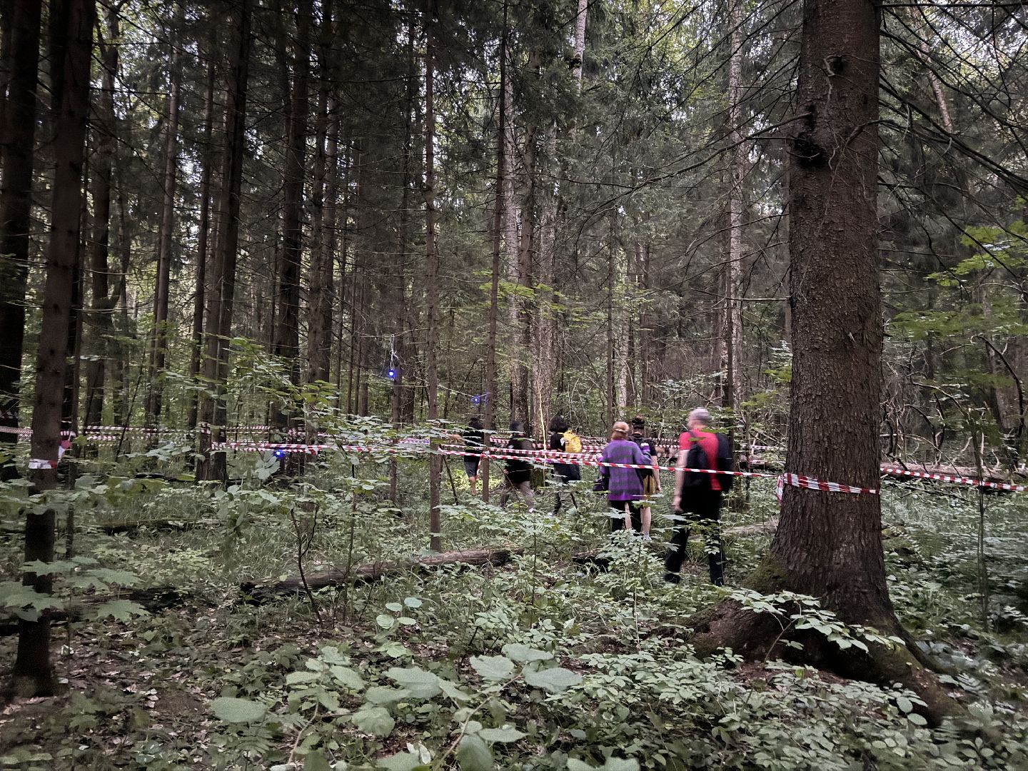 Краеведы Одинцова, Китежъ, Одинцовский парк, Краеведческий квест,