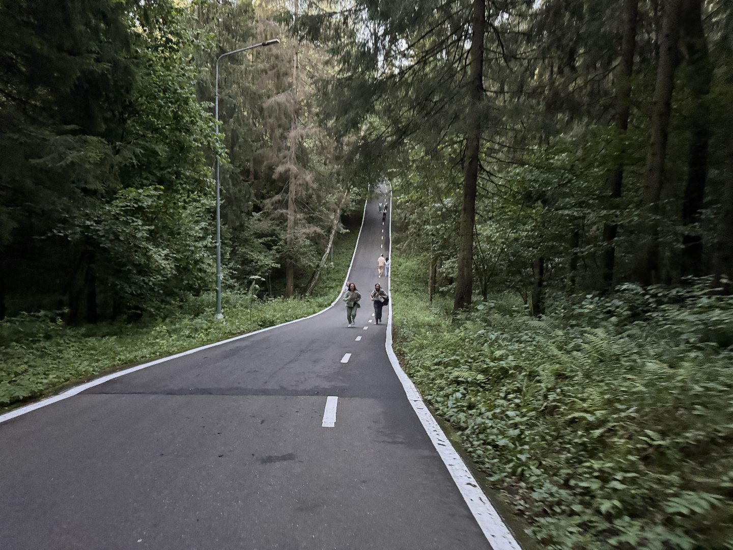 Краеведы Одинцова, Китежъ, Одинцовский парк, Краеведческий квест,