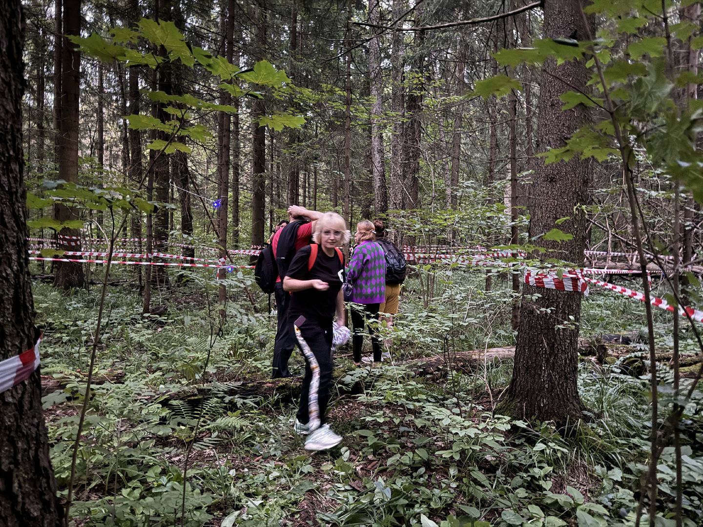 Краеведы Одинцова, Китежъ, Одинцовский парк, Краеведческий квест,