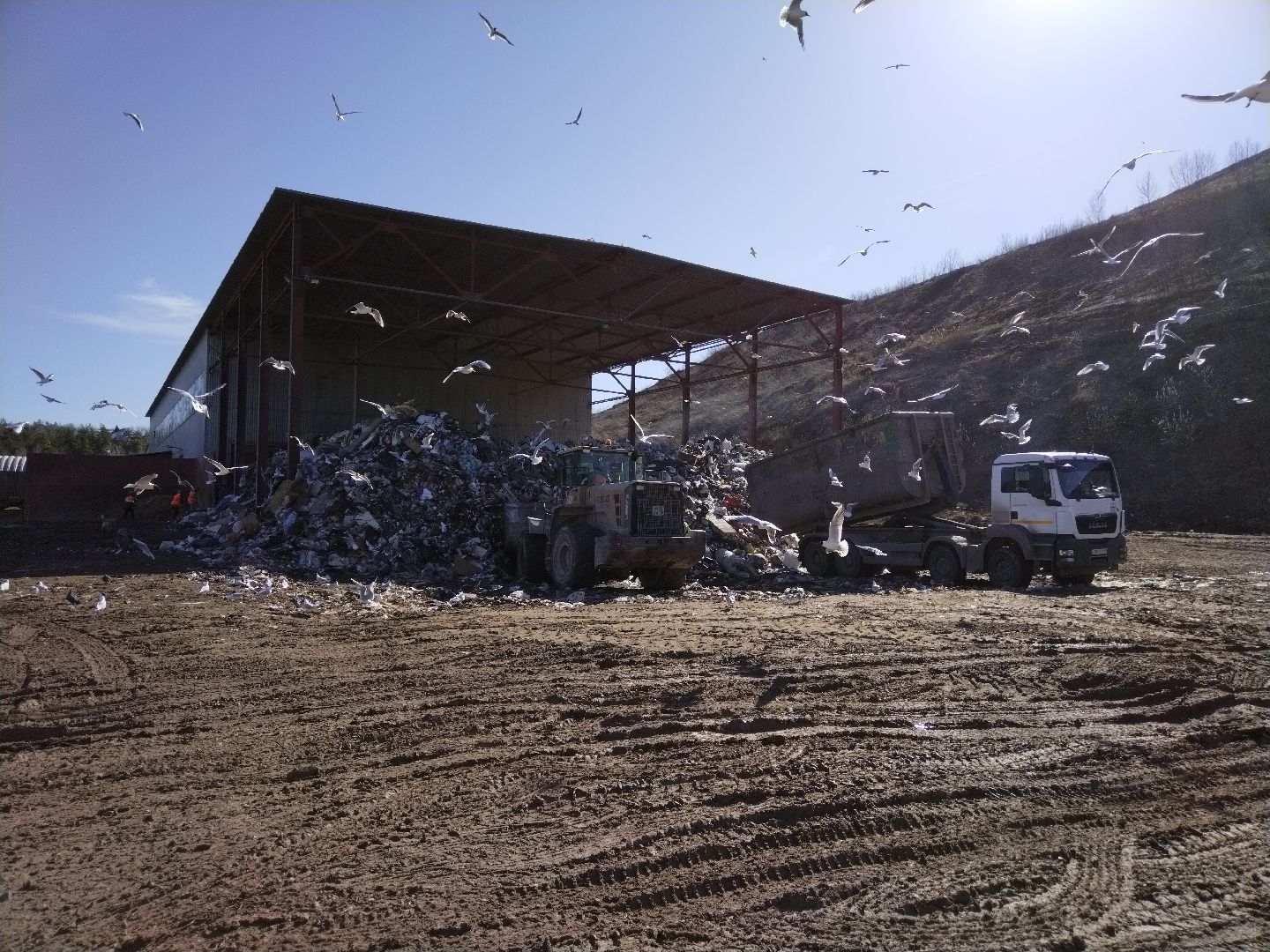 Каргашино, Мытищи, Коргашино, МПС