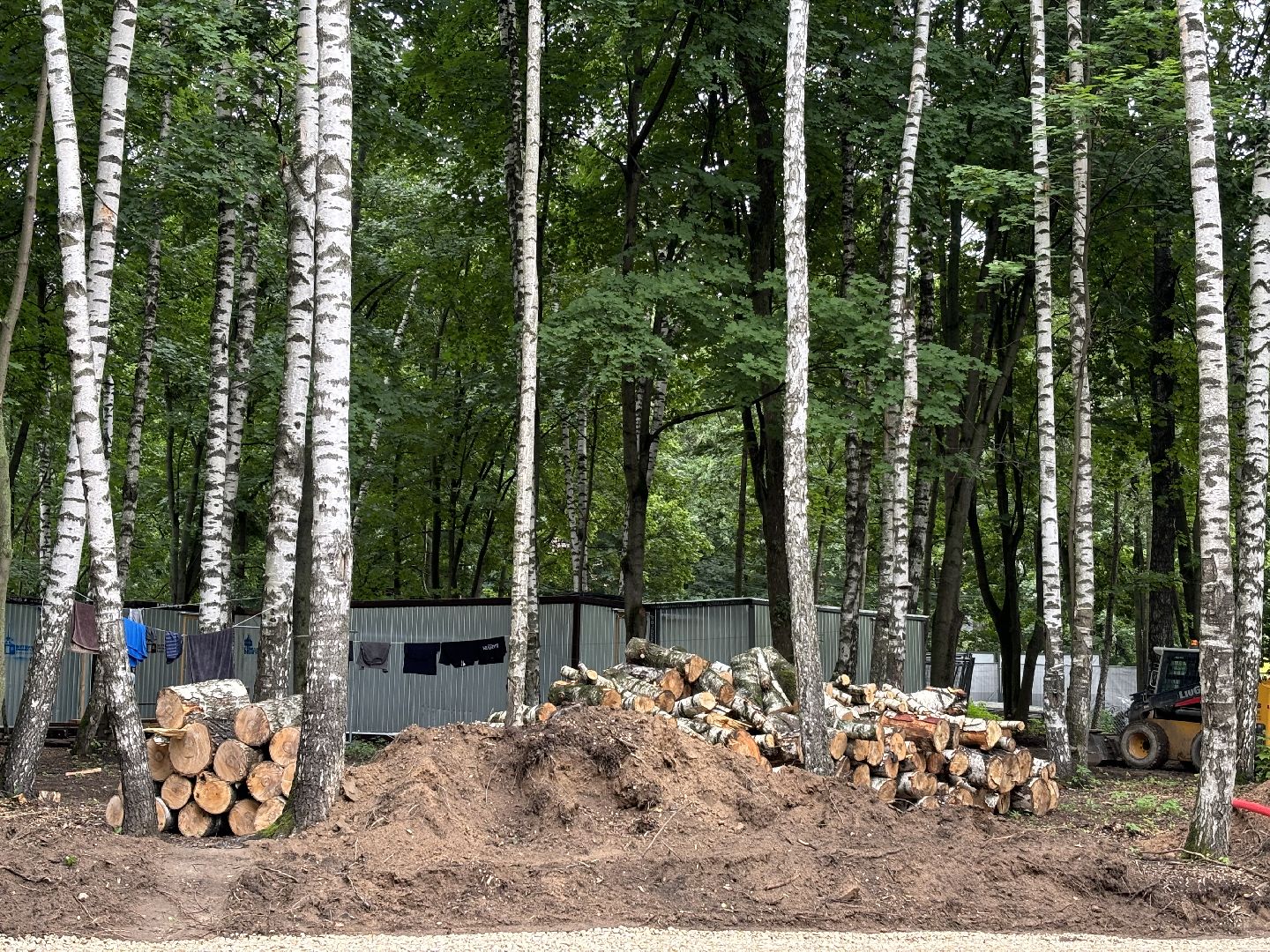 благоустройство, кучинский лесопарк,