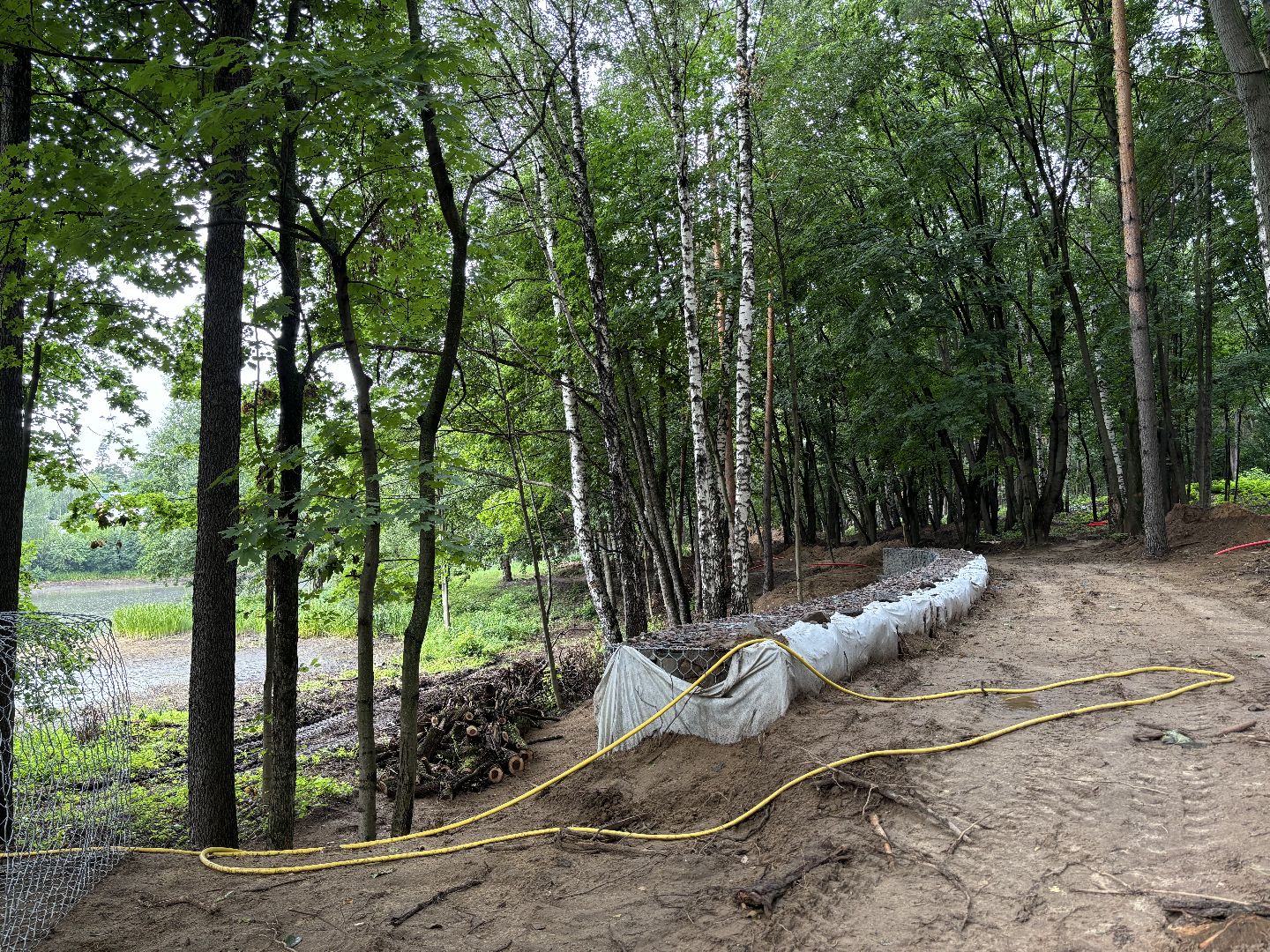 благоустройство, кучинский лесопарк,