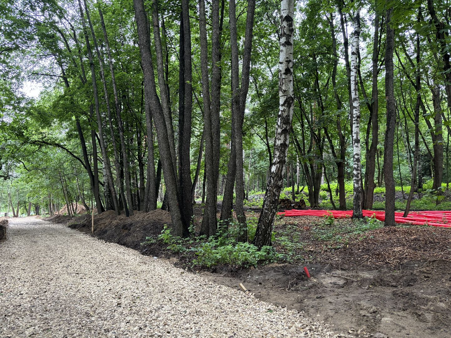 благоустройство, кучинский лесопарк,