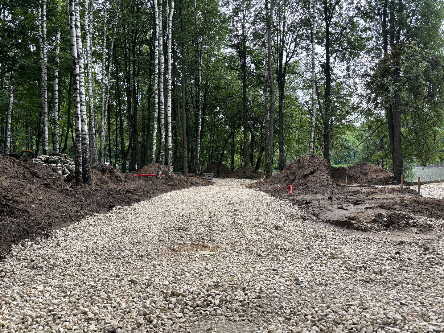 благоустройство, кучинский лесопарк,