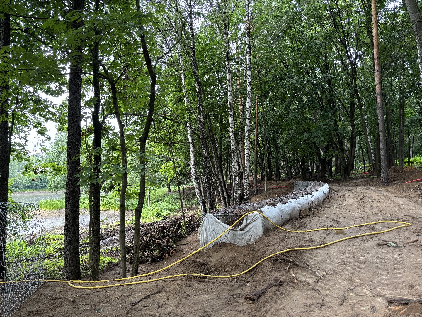 благоустройство, кучинский лесопарк,