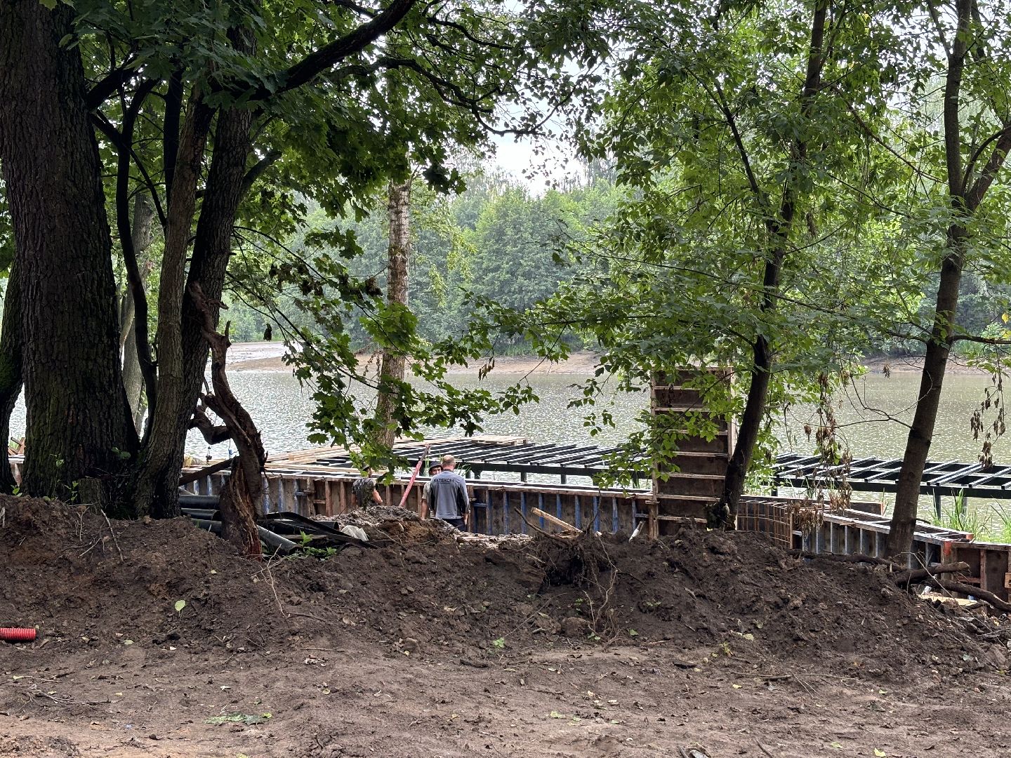 благоустройство, кучинский лесопарк,