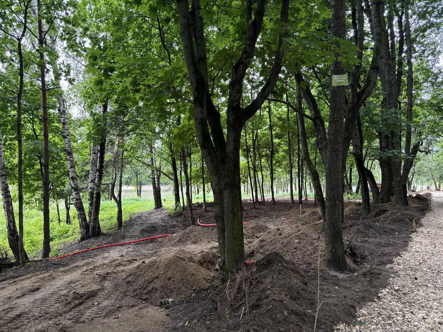 благоустройство, кучинский лесопарк,