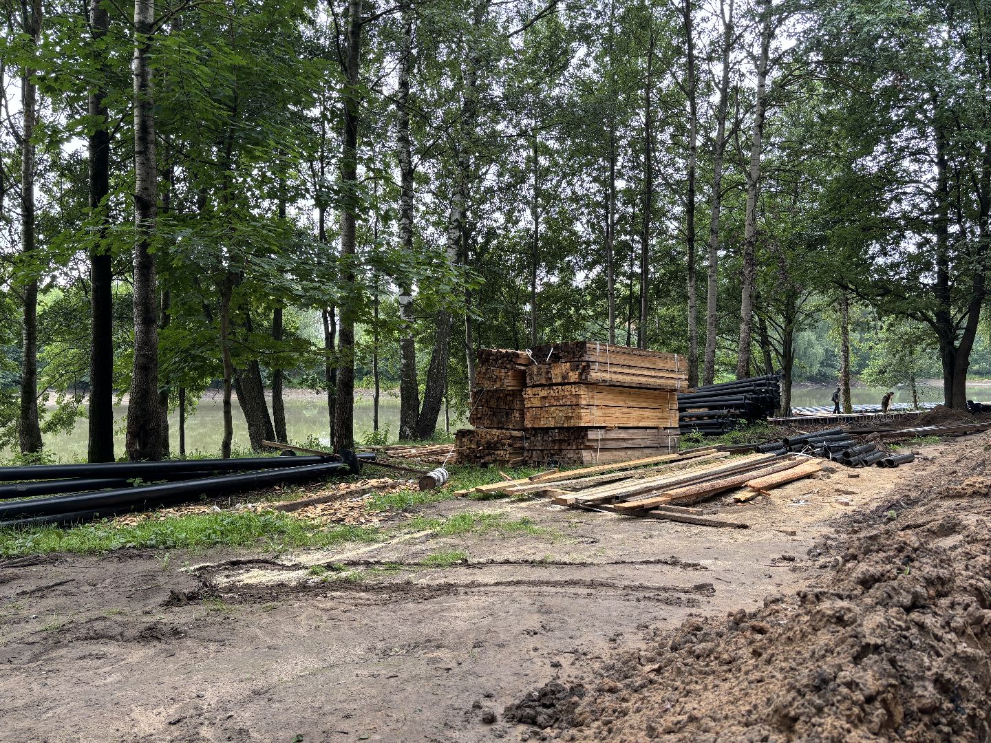 благоустройство, кучинский лесопарк,