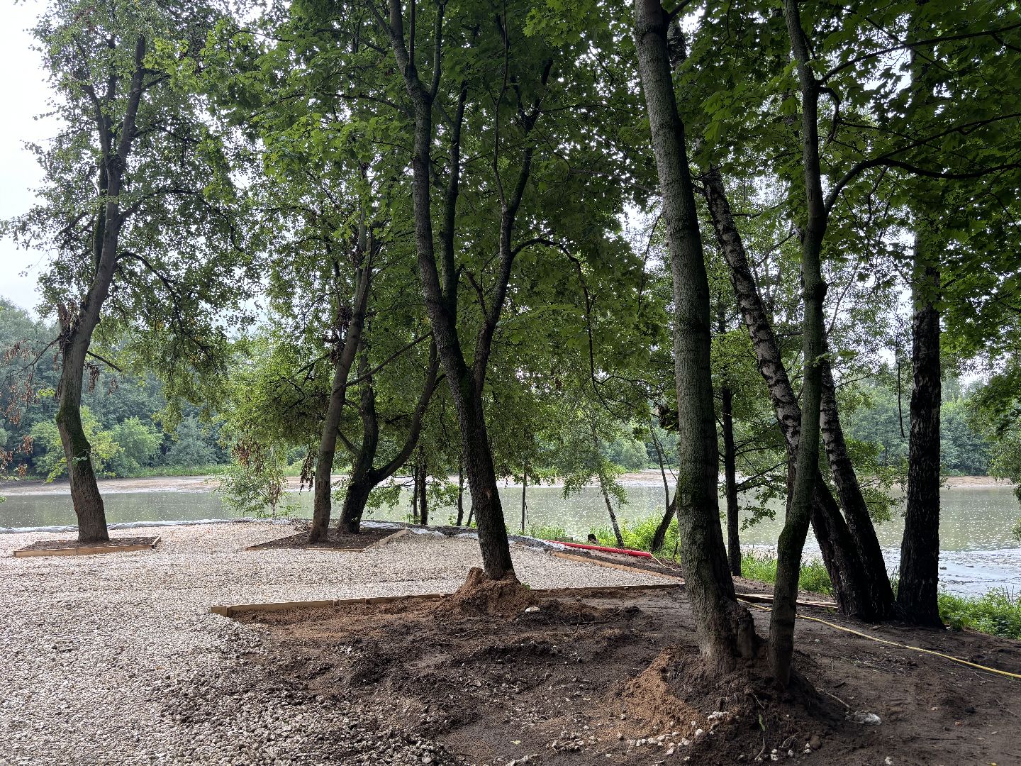 благоустройство, кучинский лесопарк,