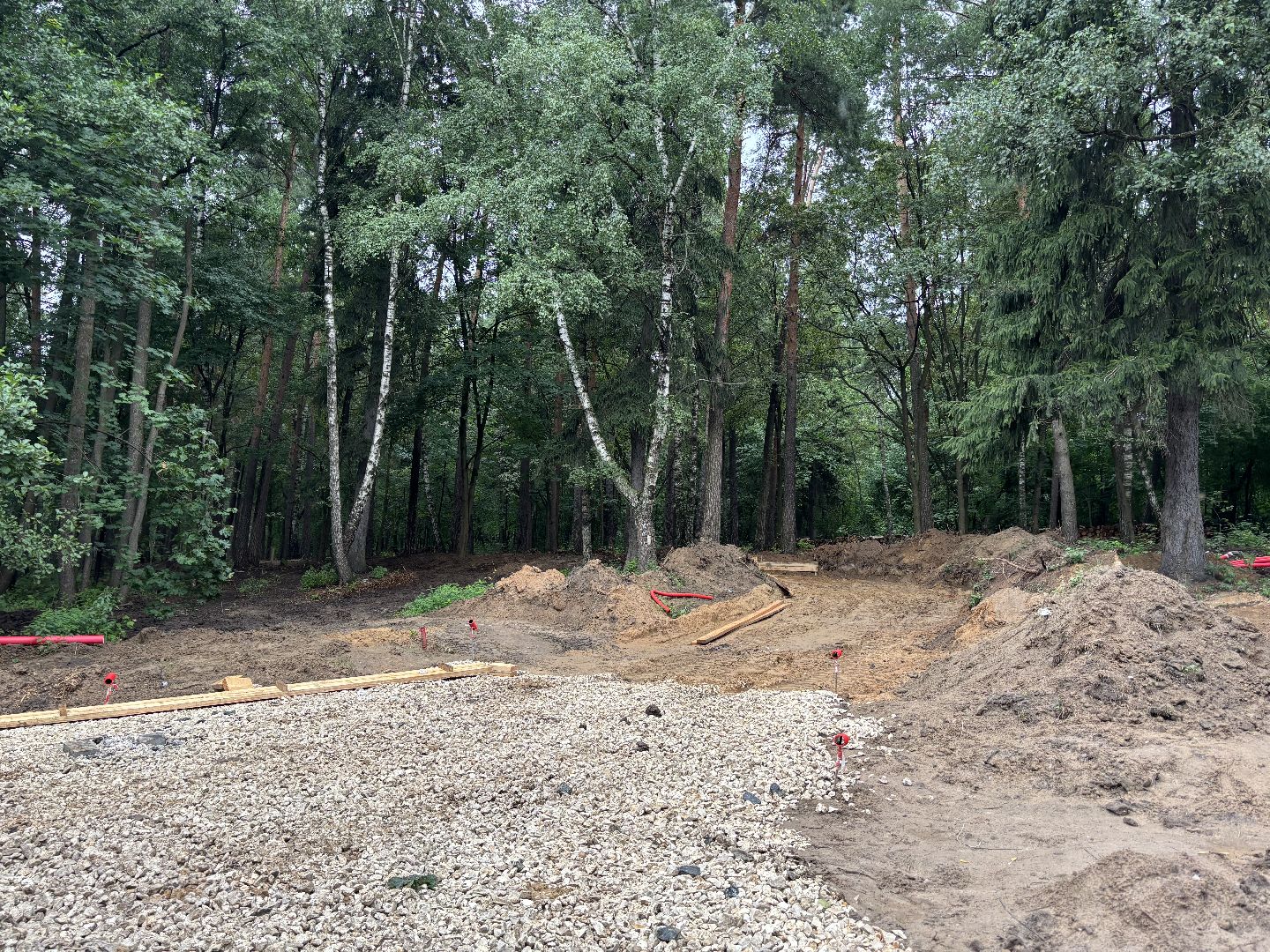 благоустройство, кучинский лесопарк,