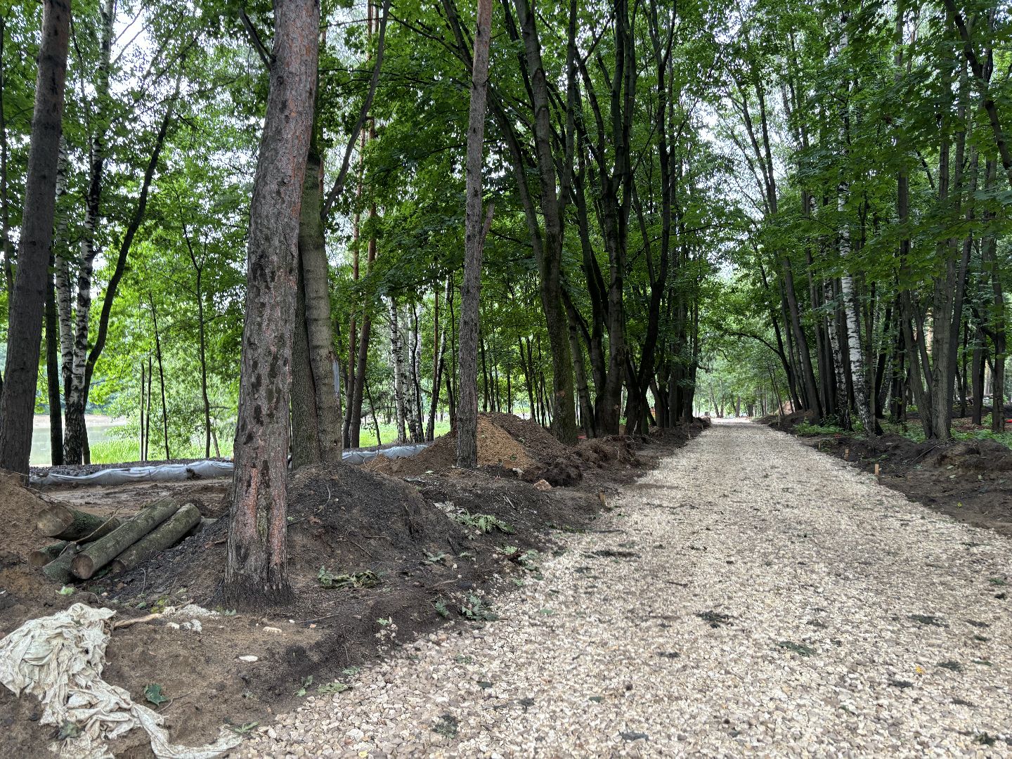 благоустройство, кучинский лесопарк,