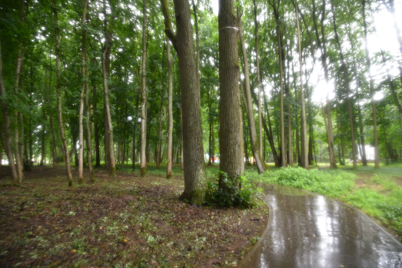 лотошино, лотошинский парк, парки подмосковья, зона для пикника,