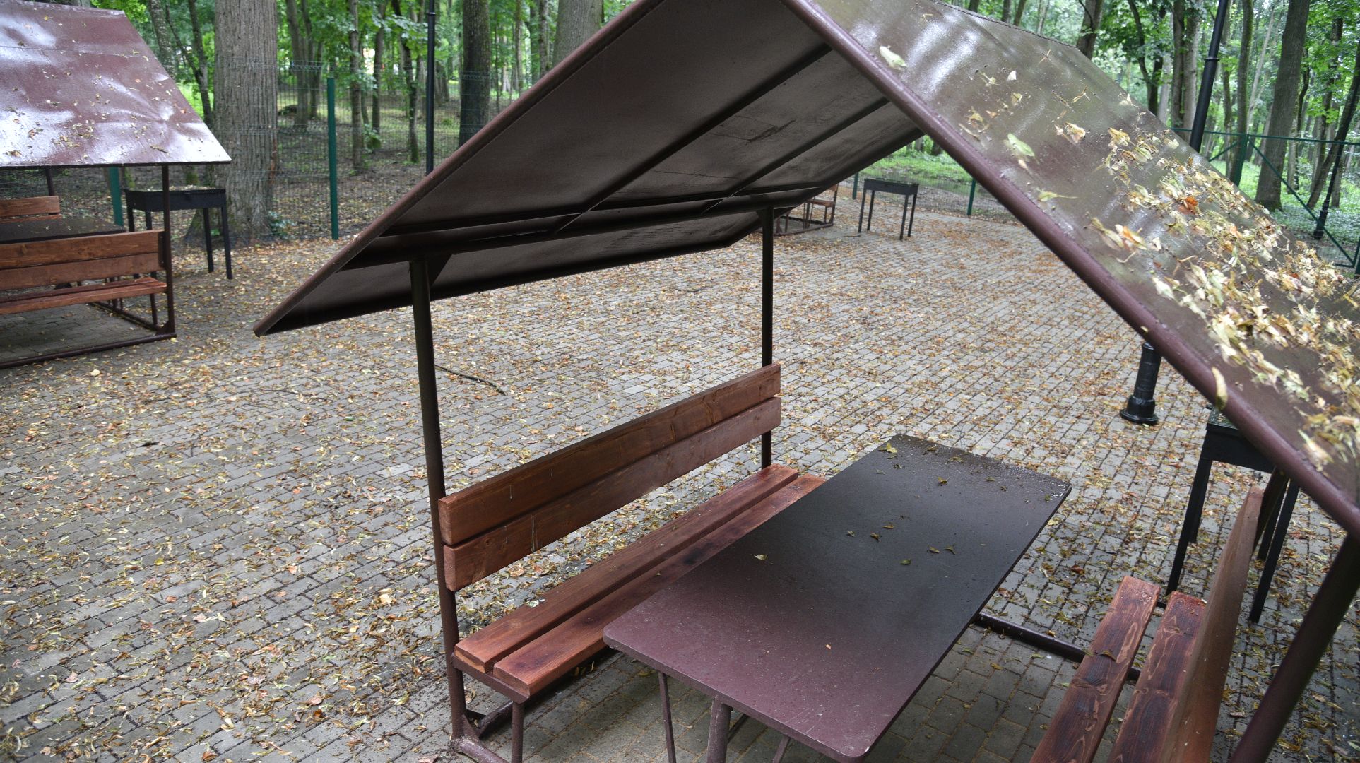 лотошино, лотошинский парк, парки подмосковья, зона для пикника,