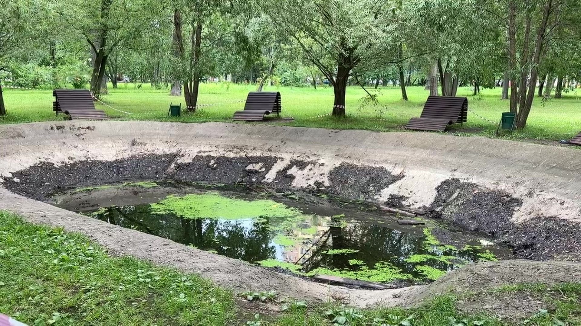 Реутов, благоустройство, парк, пруд, очистка,