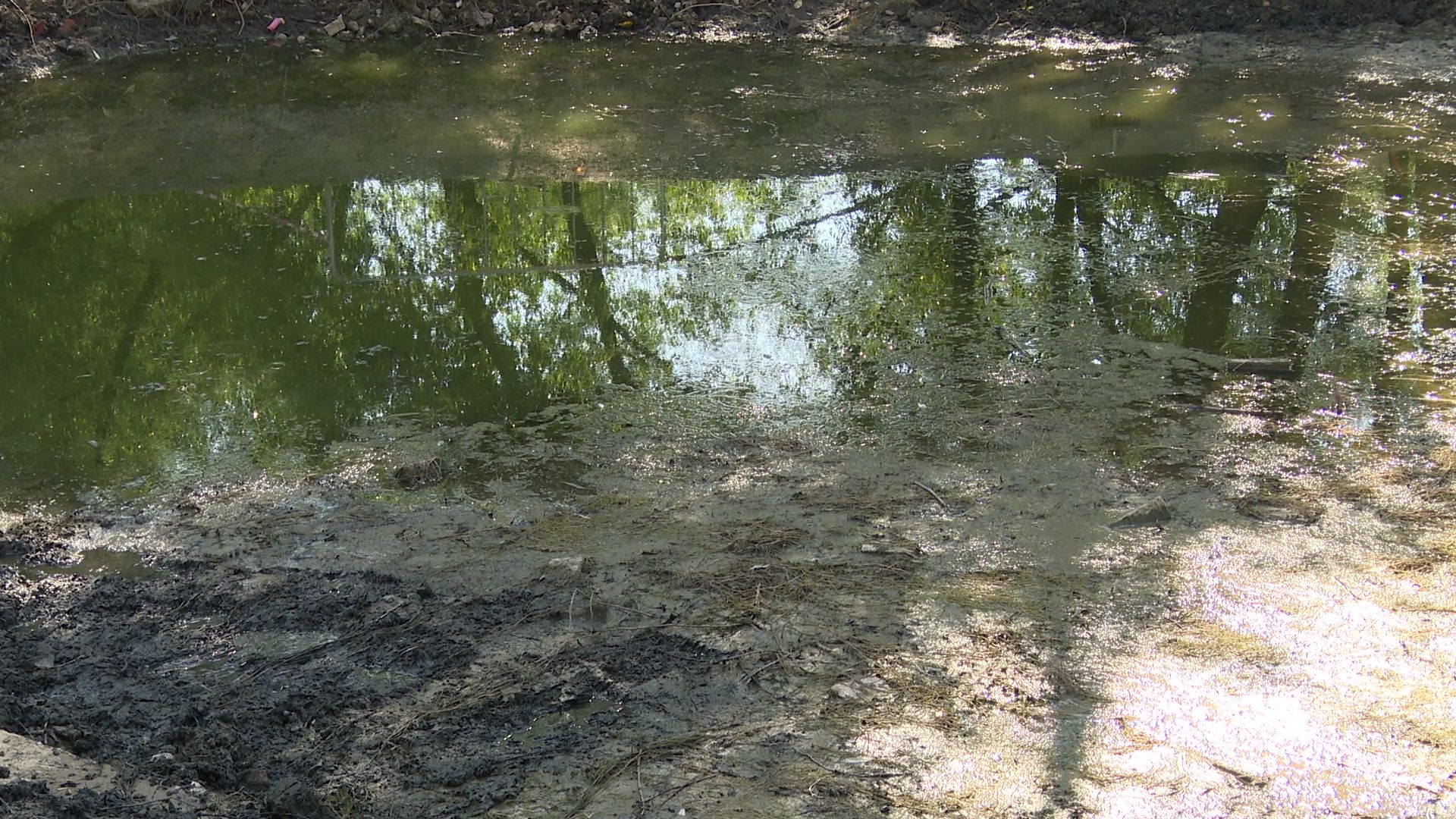 Реутов, благоустройство, парк, пруд, очистка,