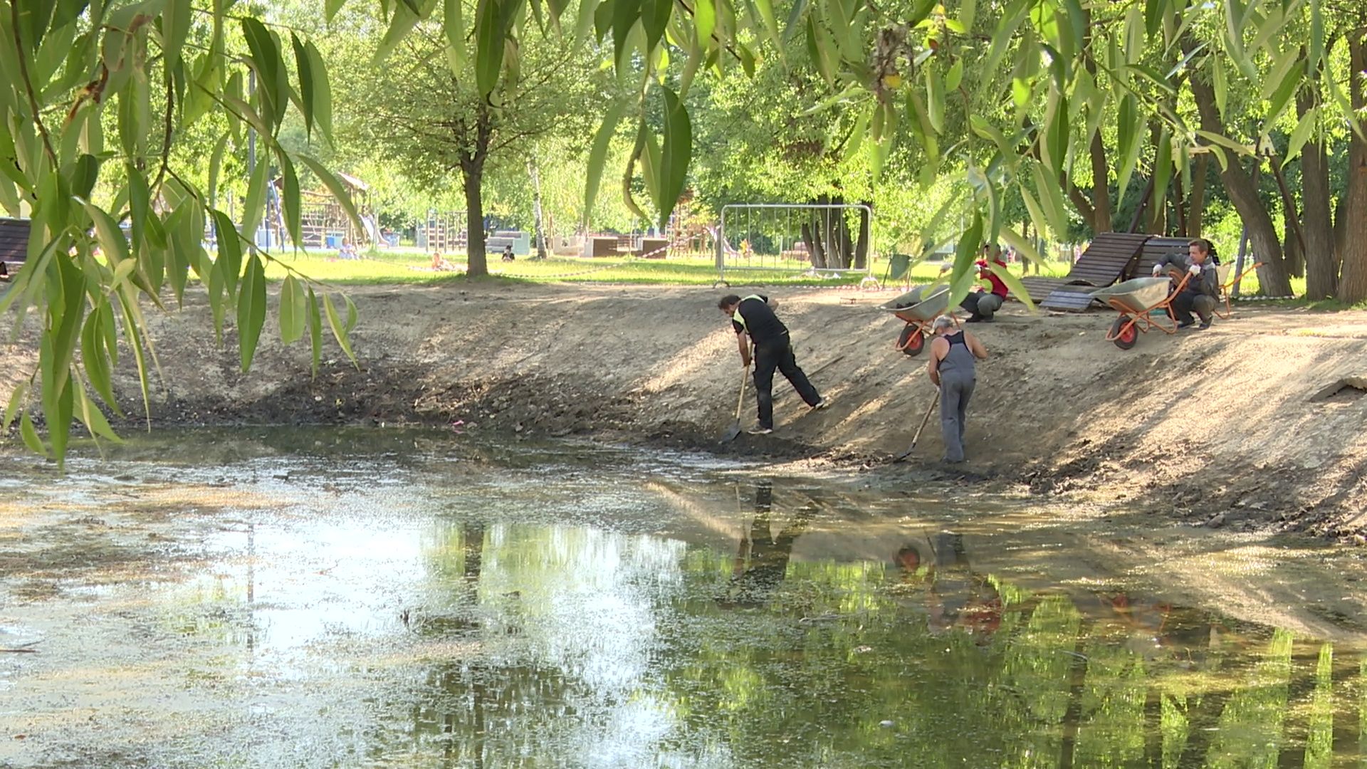 Реутов, благоустройство, парк, пруд, очистка,