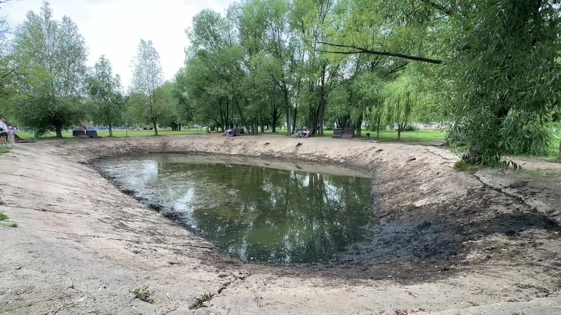 Реутов, благоустройство, парк, пруд, очистка,