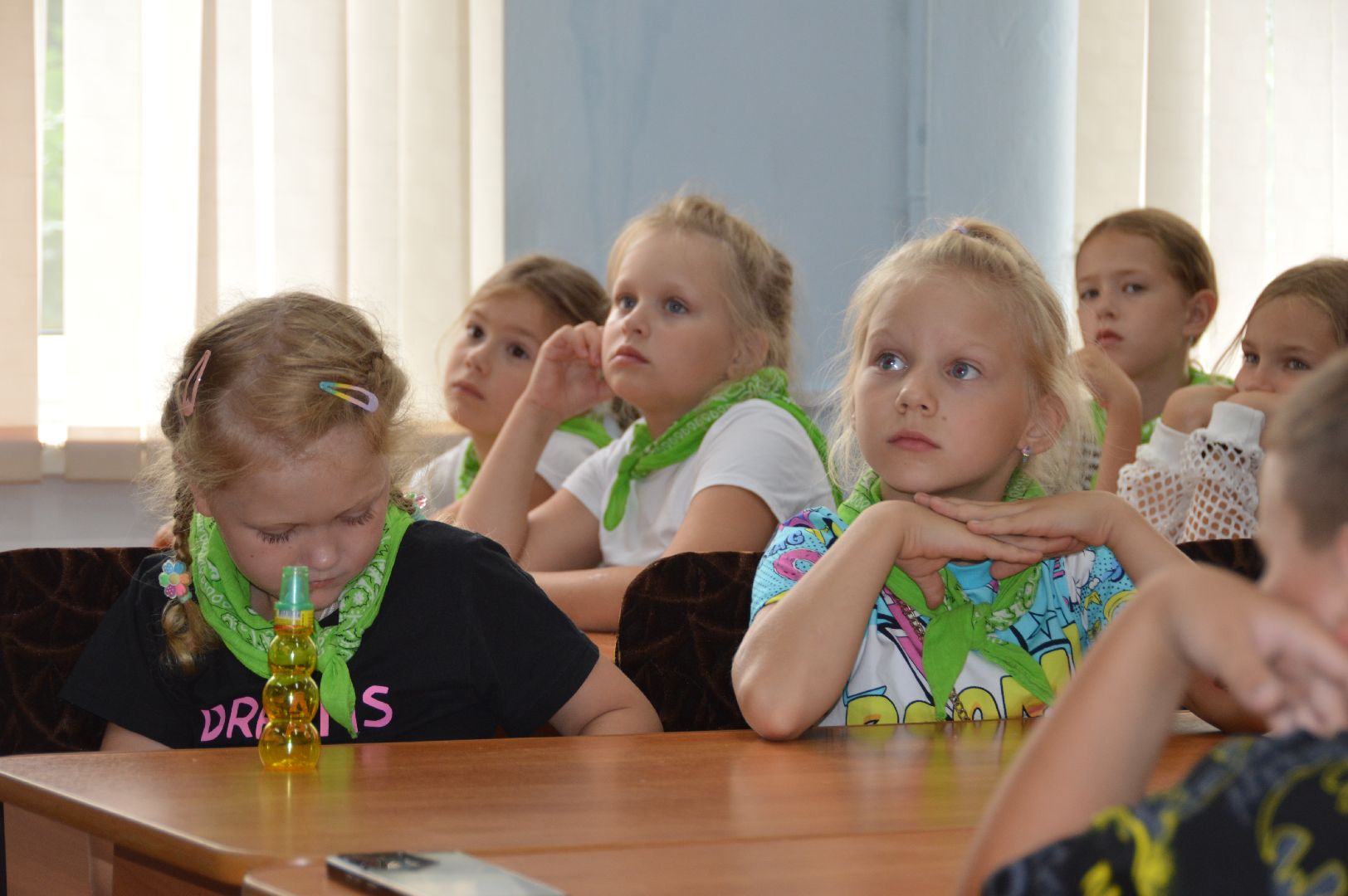 шатура, культурная шатура, библиотекарь, экология, экологический час, охрана природы,