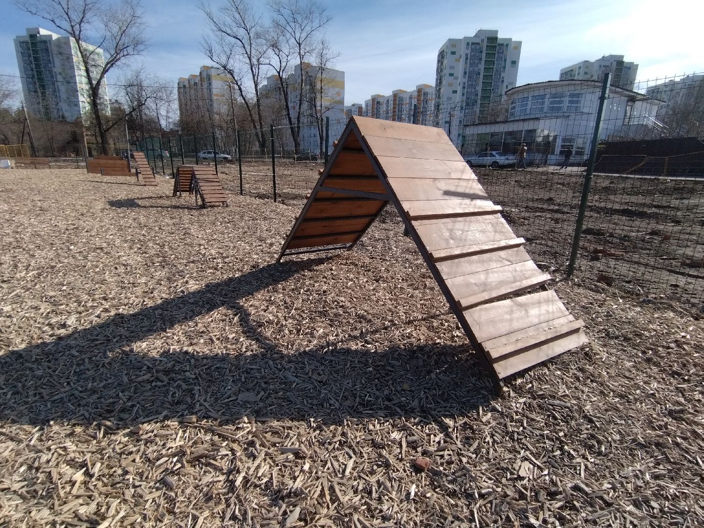 Собаки, животные, Мытищи, площадка для выгула, перемены