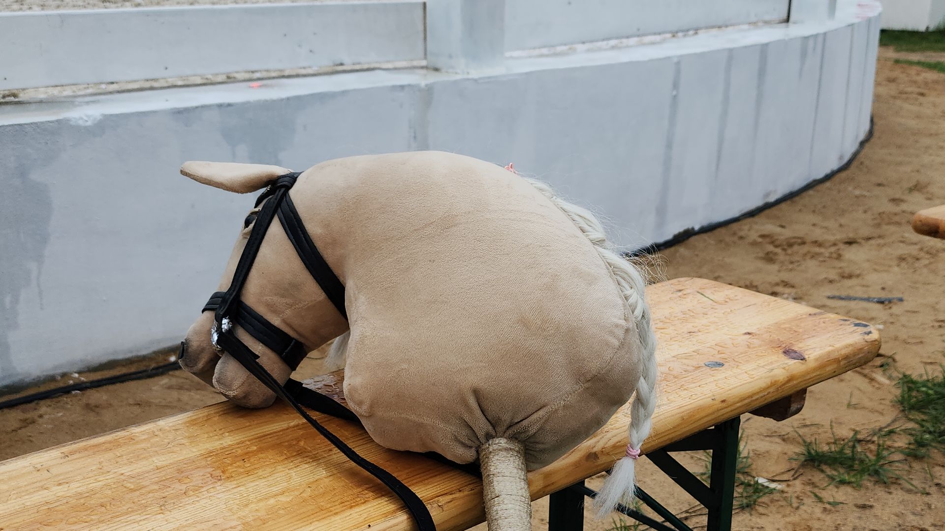 Иваново поле, конный фестиваль, хоббихорсинг, село Ивановское, городской округ Черноголовка,