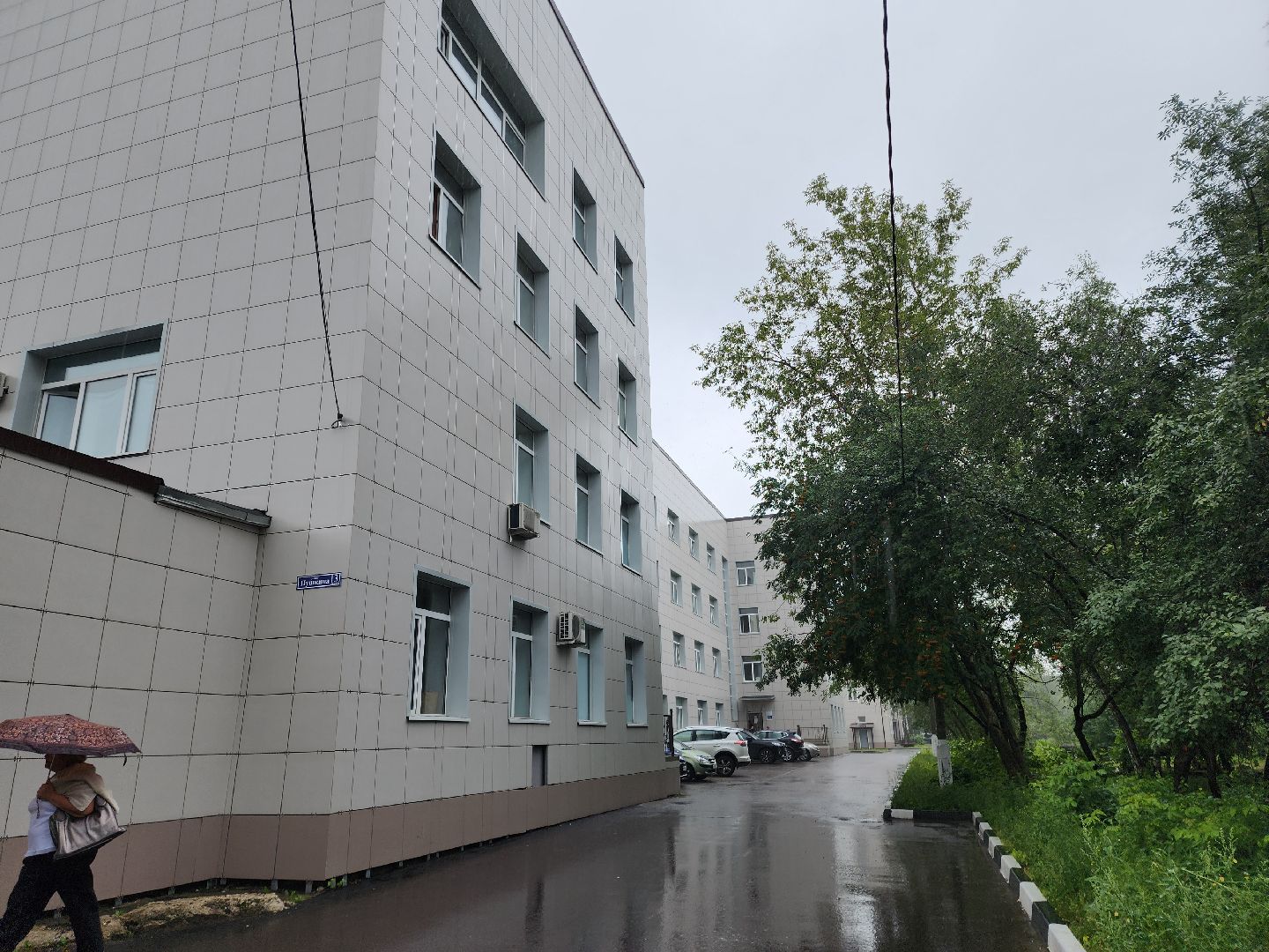 электросталь, эцгб, горбольница, врач, врач-эпидемиолог, клещи, боррелиоз, болезнь лайма,