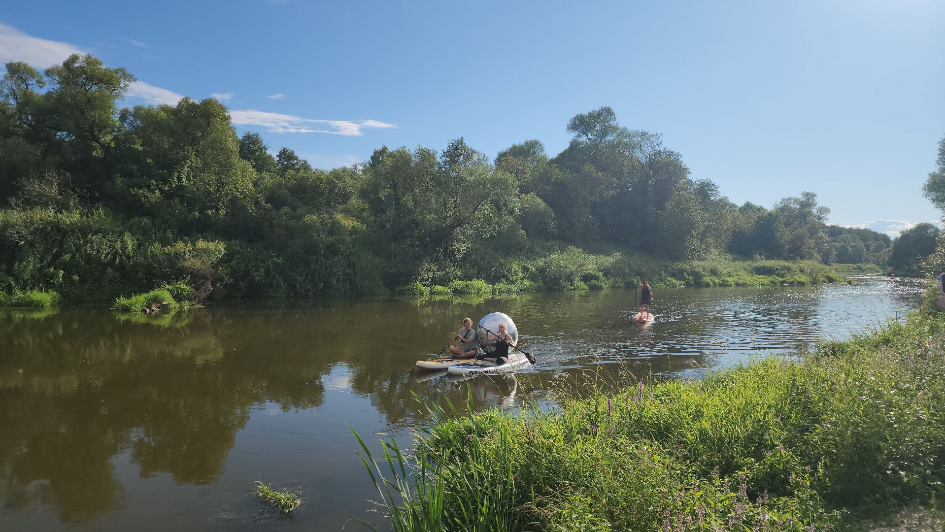 серпухов, подмосковье, бунин ручей, экоферма,