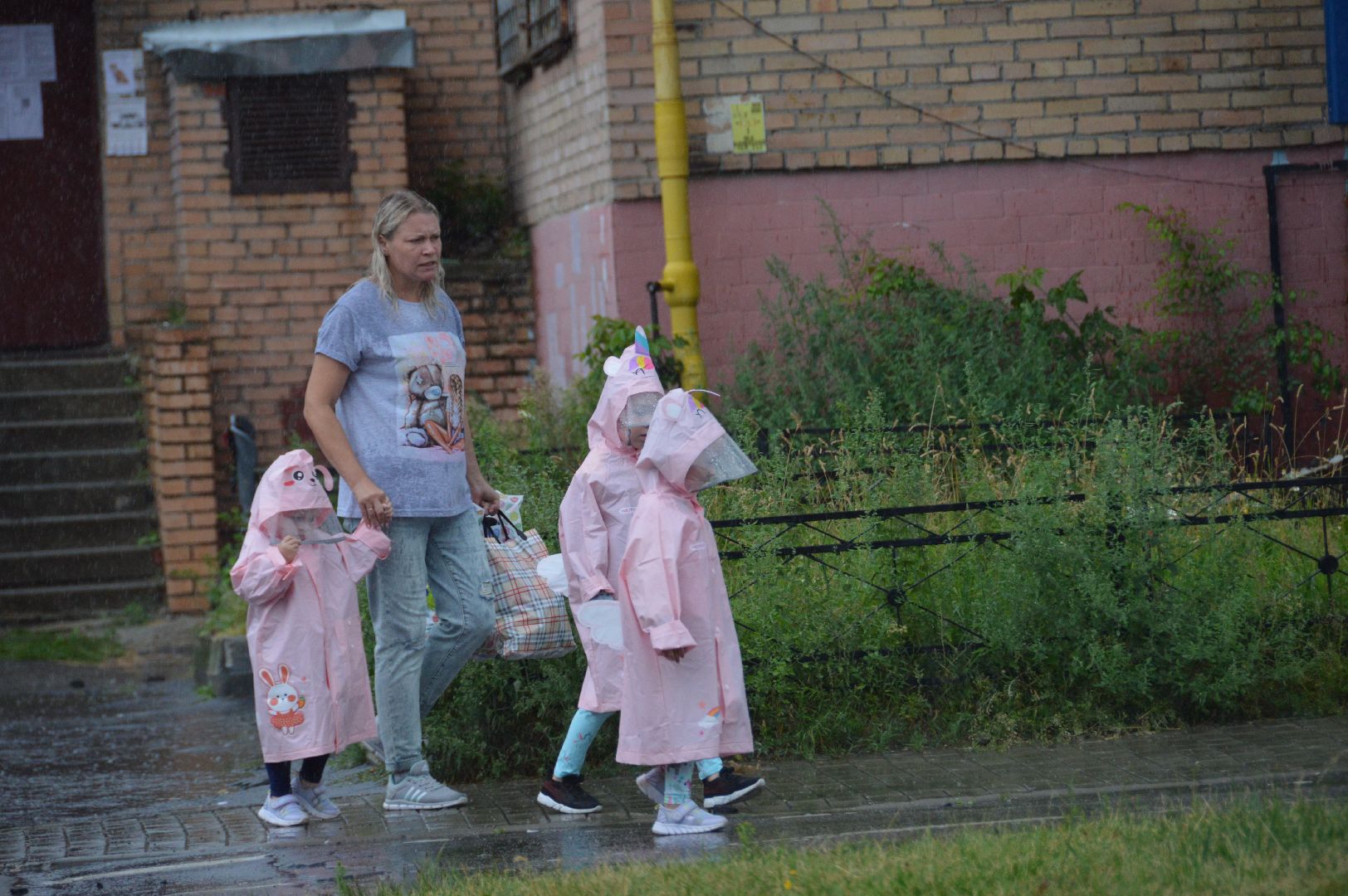 шатура, дожди, погода, осадки,