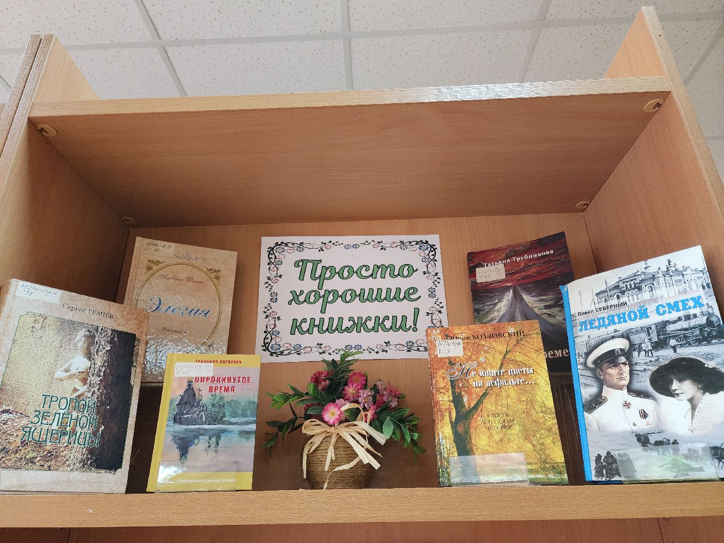 Подольск, Библиотека, Рекомендации читателей, Чтение, Выставка,