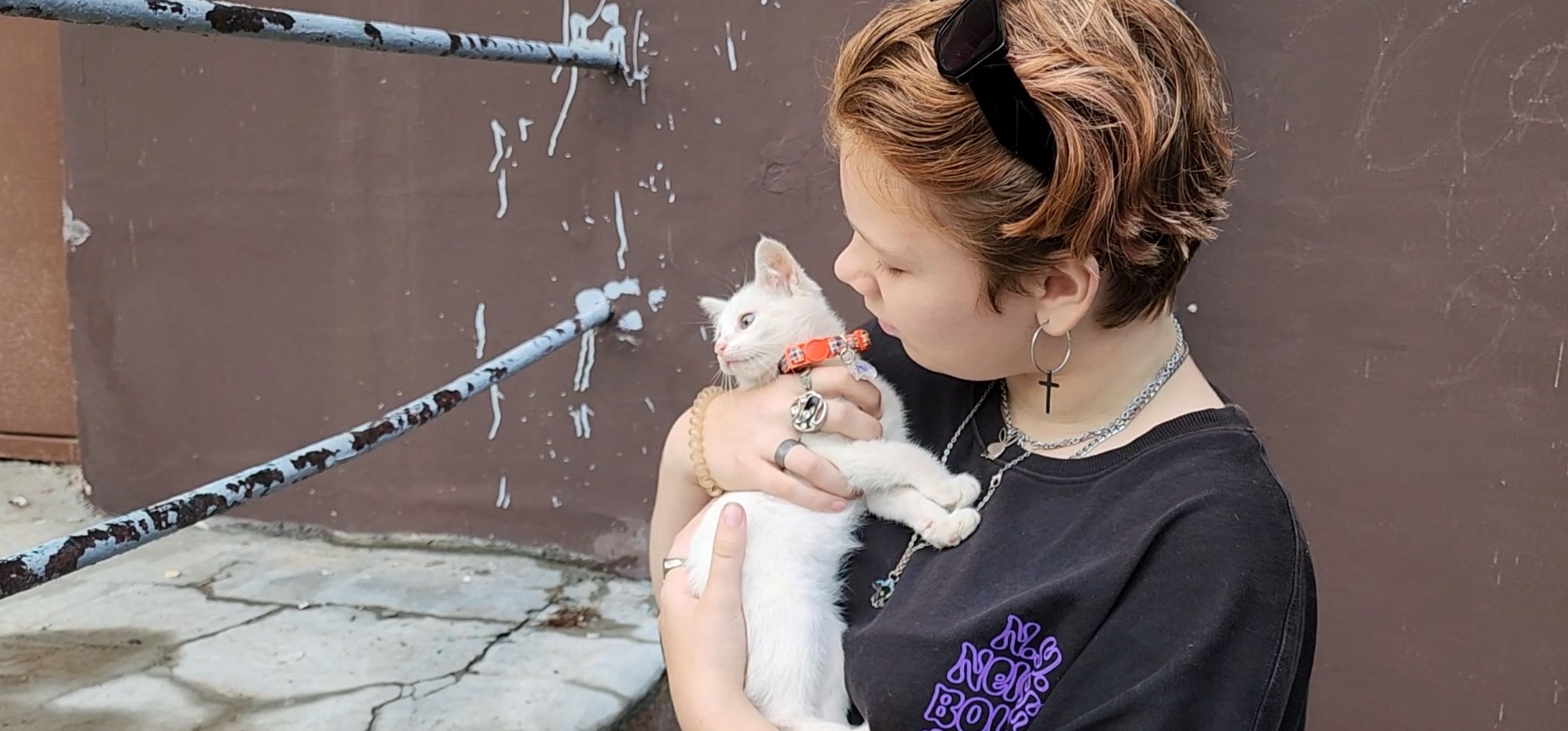 Кашира, молодая гвардия, волонтеры, спасение бездомных животных, кошка, гетерохромия, глухота, штаб мгер,