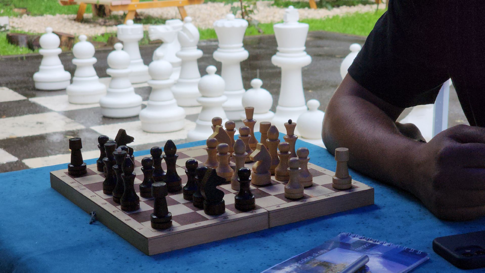 турнир по шахматам, Лосино-Петровский, парки Подмосковья,