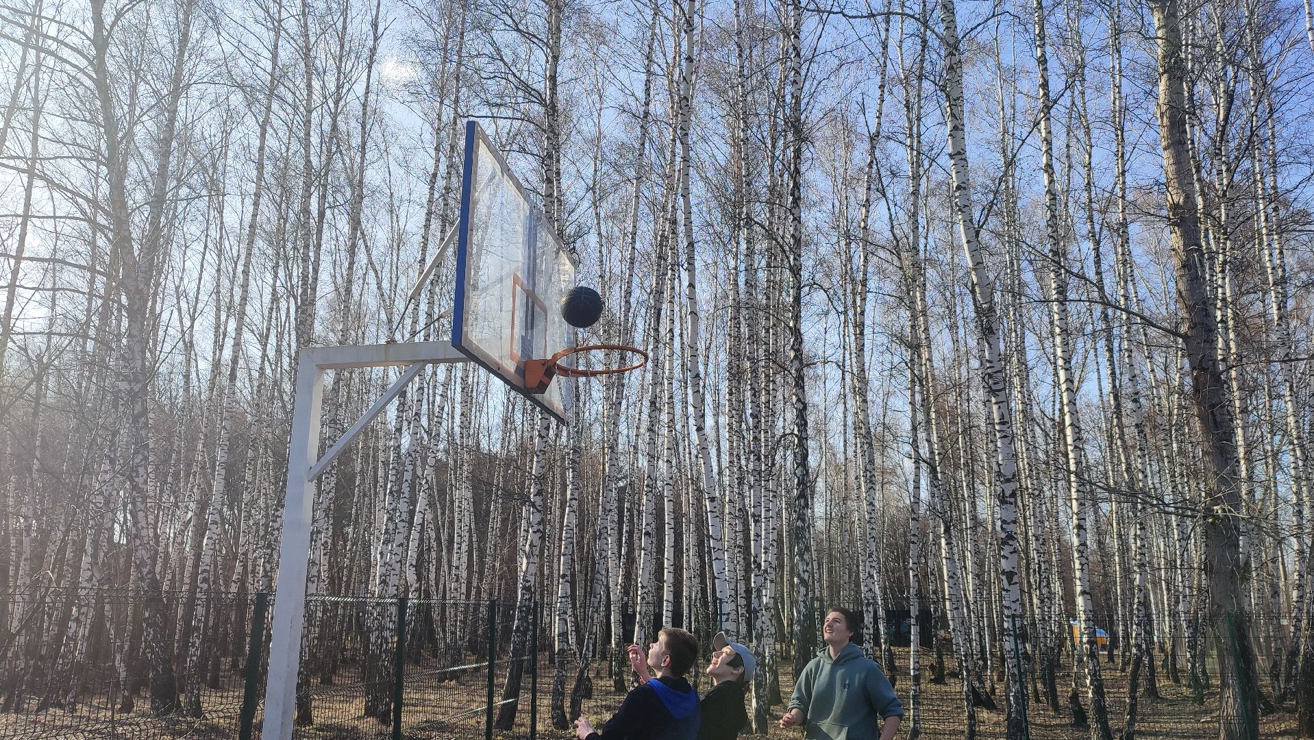 Кашира, парк, баскетбол