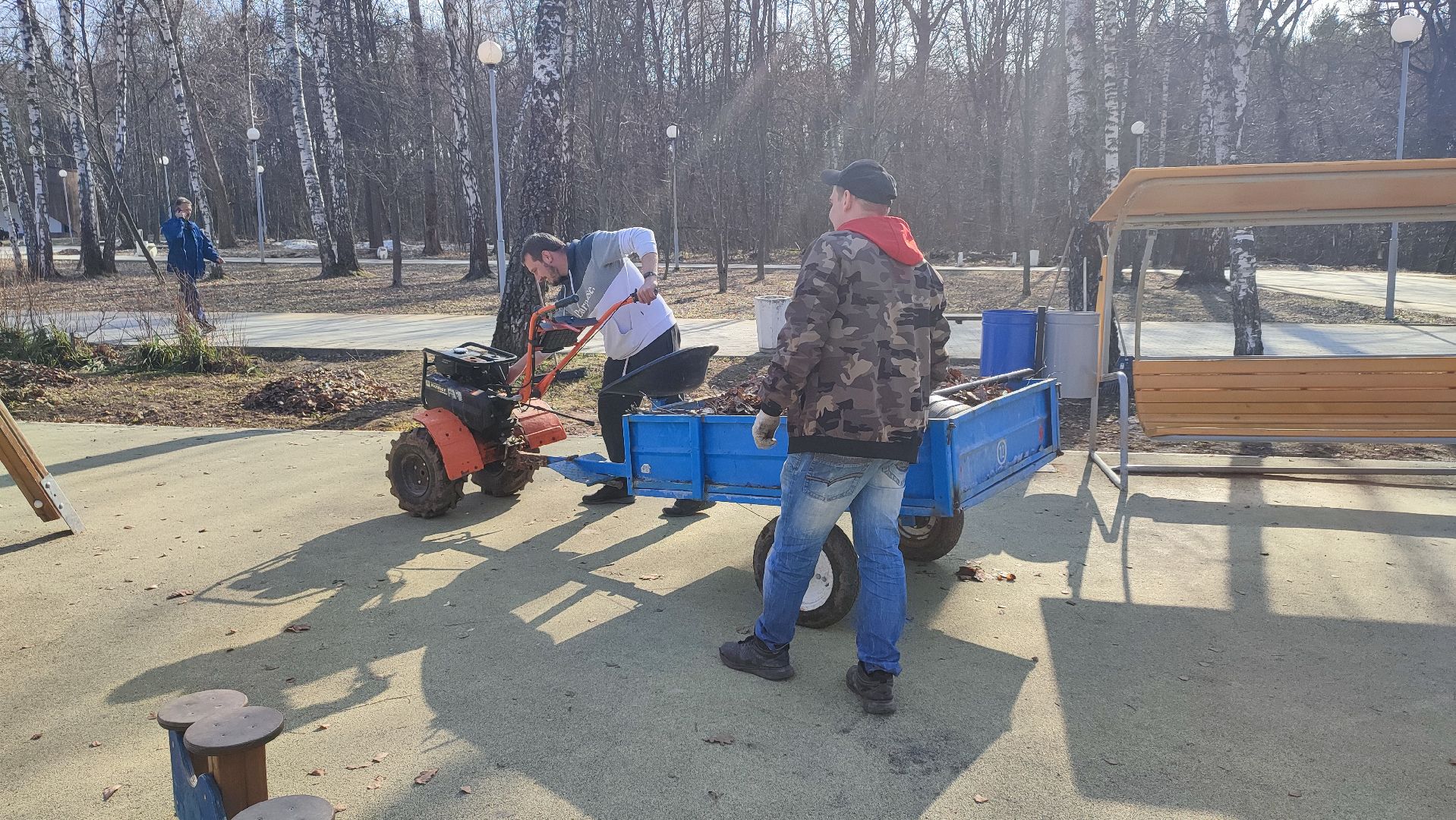 Кашира, парк, баскетбол