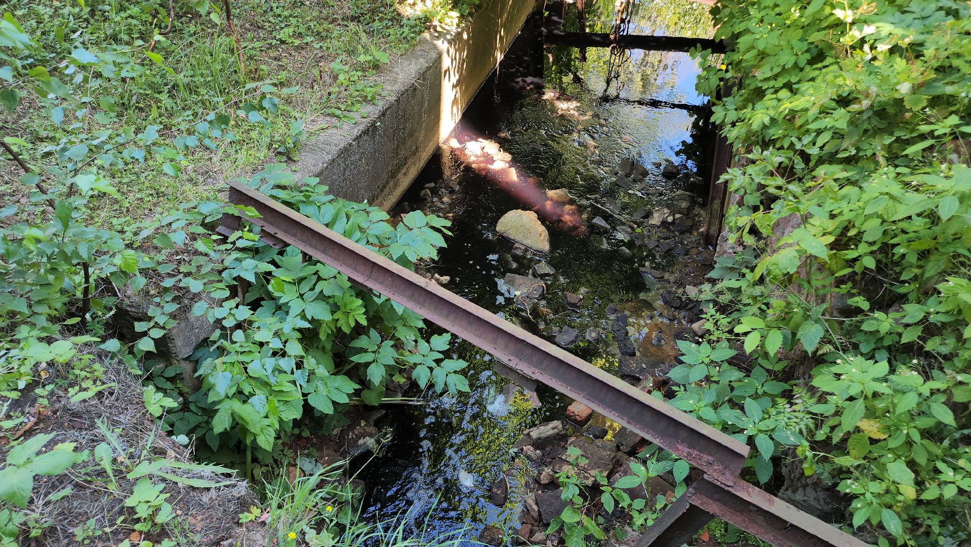 Егорьевск, Экология, Подмосковье, Московская область,