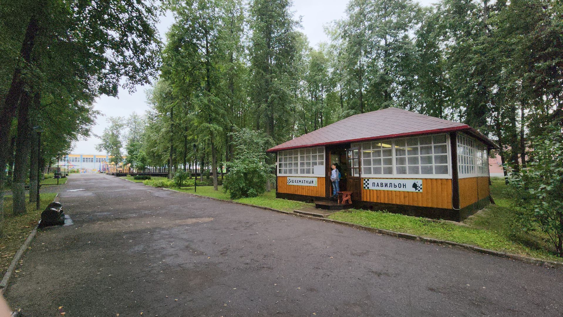 Егорьевск, шахматы, дети, парк, ребята, соревнования, турнир,