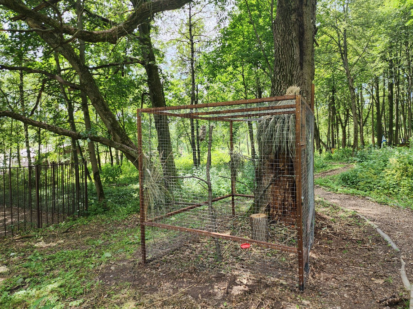 серпухов, подмосковье, бунин ручей, экоферма, спасли сову,