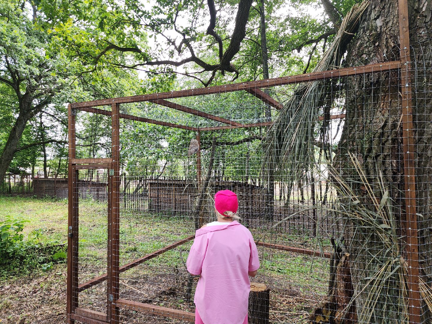 серпухов, подмосковье, бунин ручей, экоферма, спасли сову,