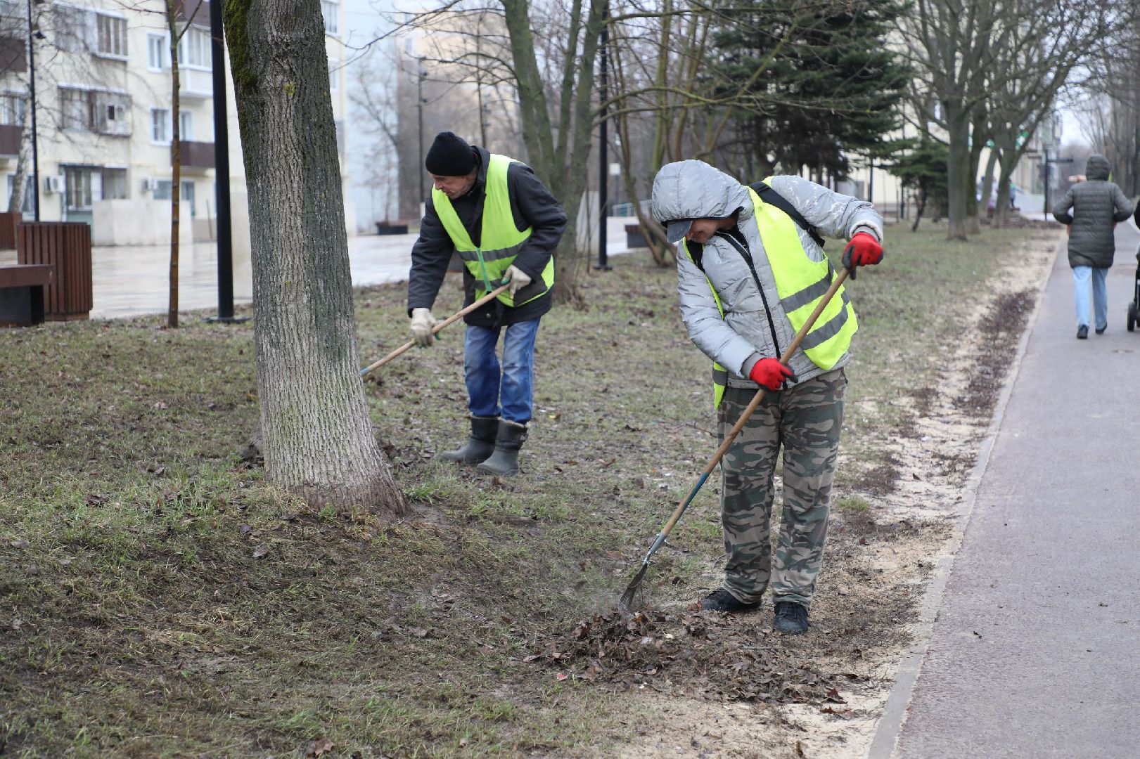 Лыткарино, благоустройство, парки