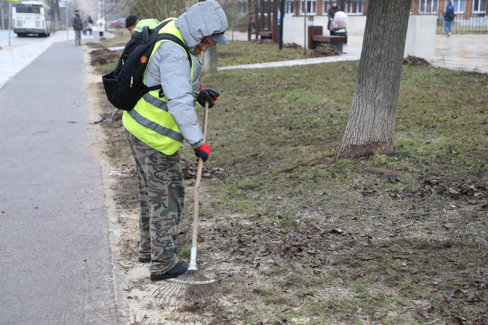 Лыткарино, благоустройство, парки