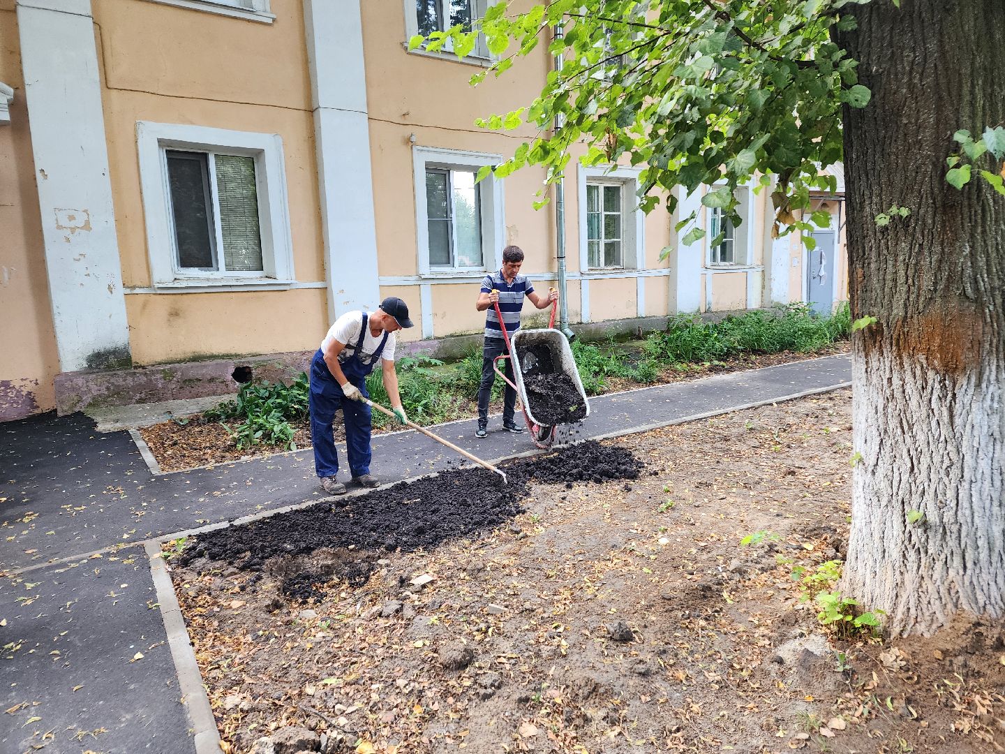 Чехов, улица Чехова, двор, дворовая территория, комплексное благоустройство, проезды, тротуар, детская площадка, освещение, парковка, формирование комфортной городской среды, глава округа Михаил Собакин,