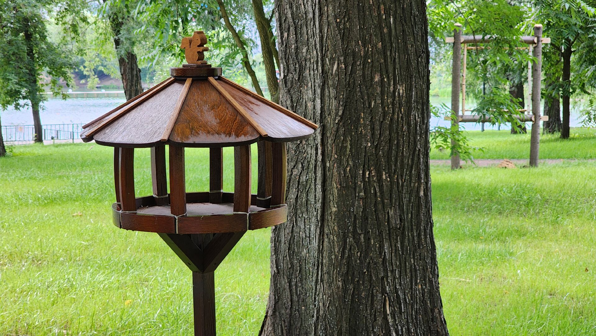 бракосочетание, госуслуги, выездная регистрация брака,