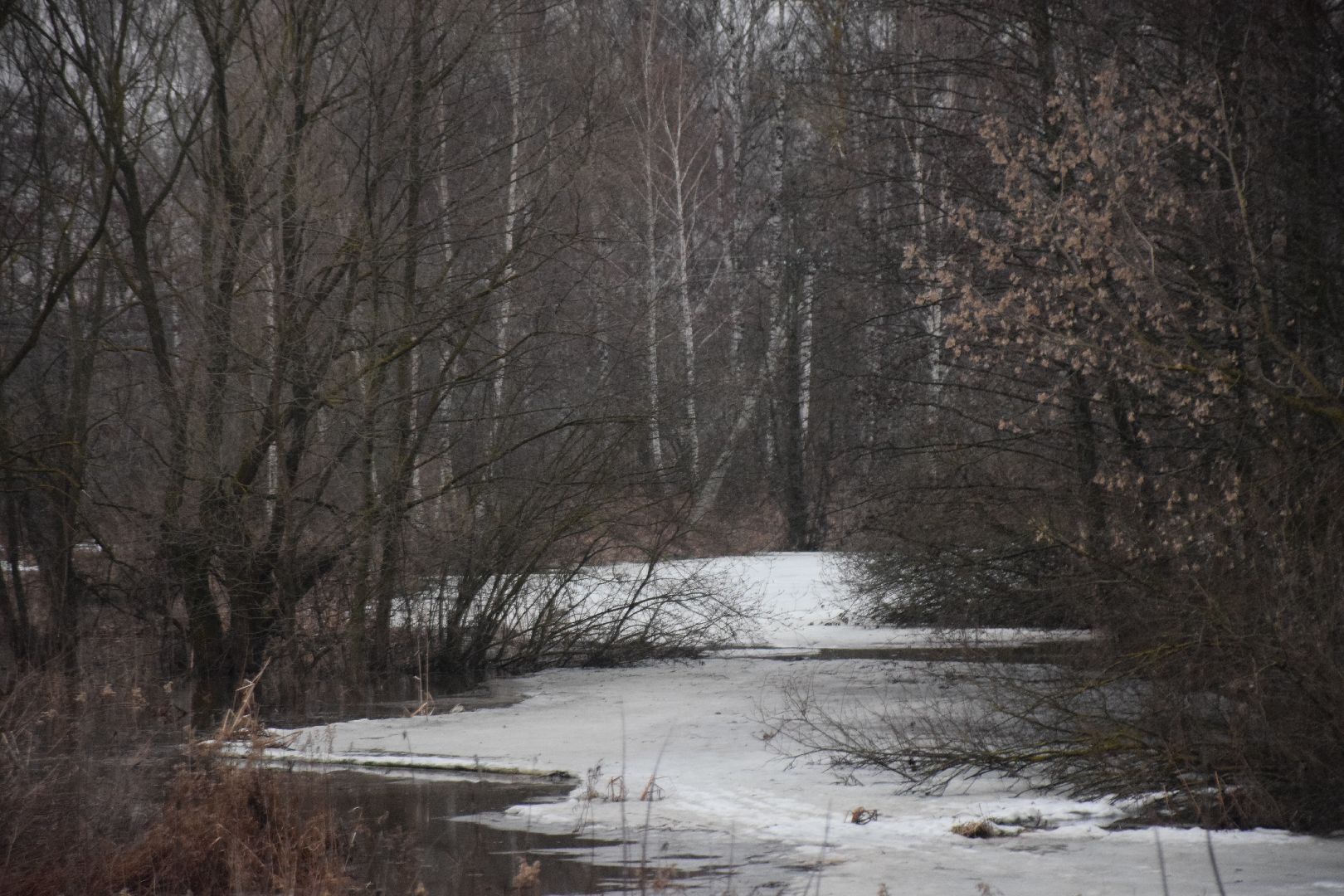 Павловский Посад, городской округ Павловский Посад, парк, благоустройство, строительство, Зелёный узел