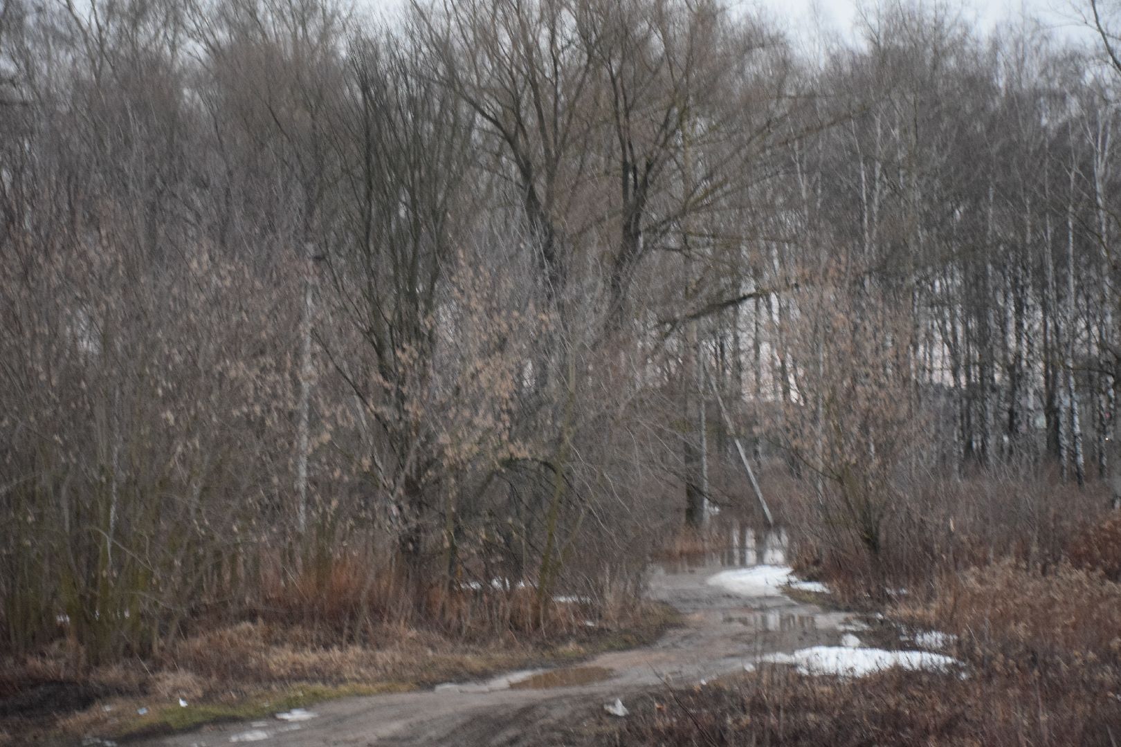 Павловский Посад, городской округ Павловский Посад, парк, благоустройство, строительство, Зелёный узел